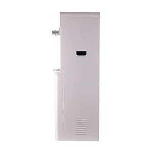 Elegant model with sparkling water function adds sophistication to space